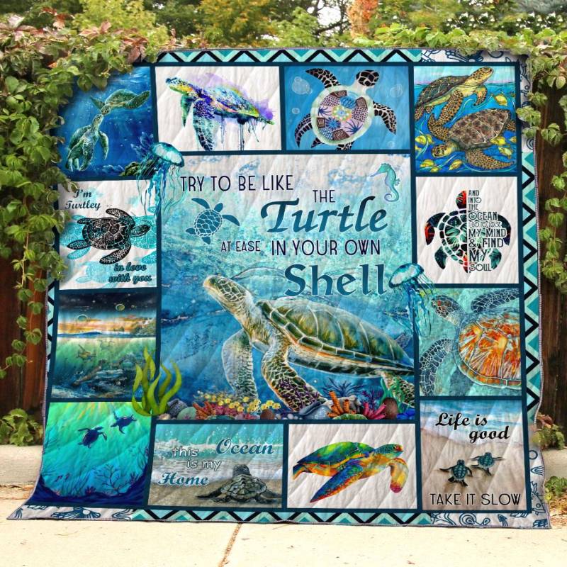 Turtle Own Shell Quilt D12003093Q