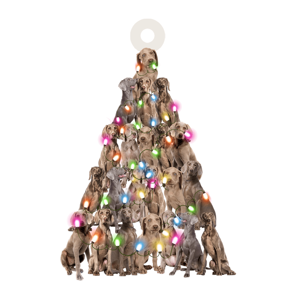 Weimaraner Lovely Tree Ornament – Gift For Dog Lover