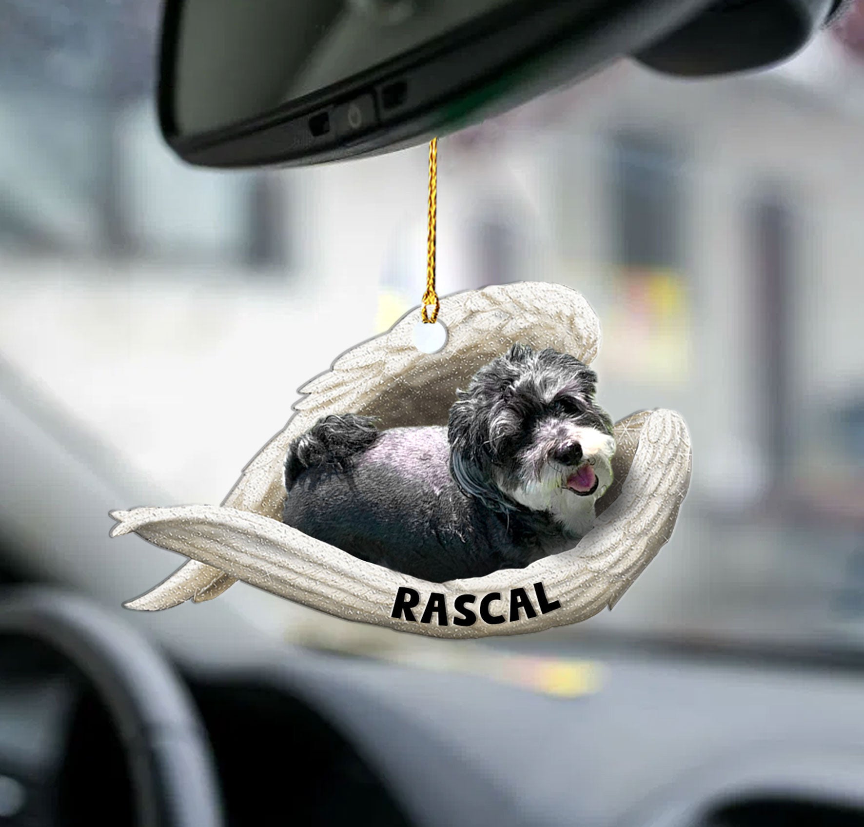 Placeholder
